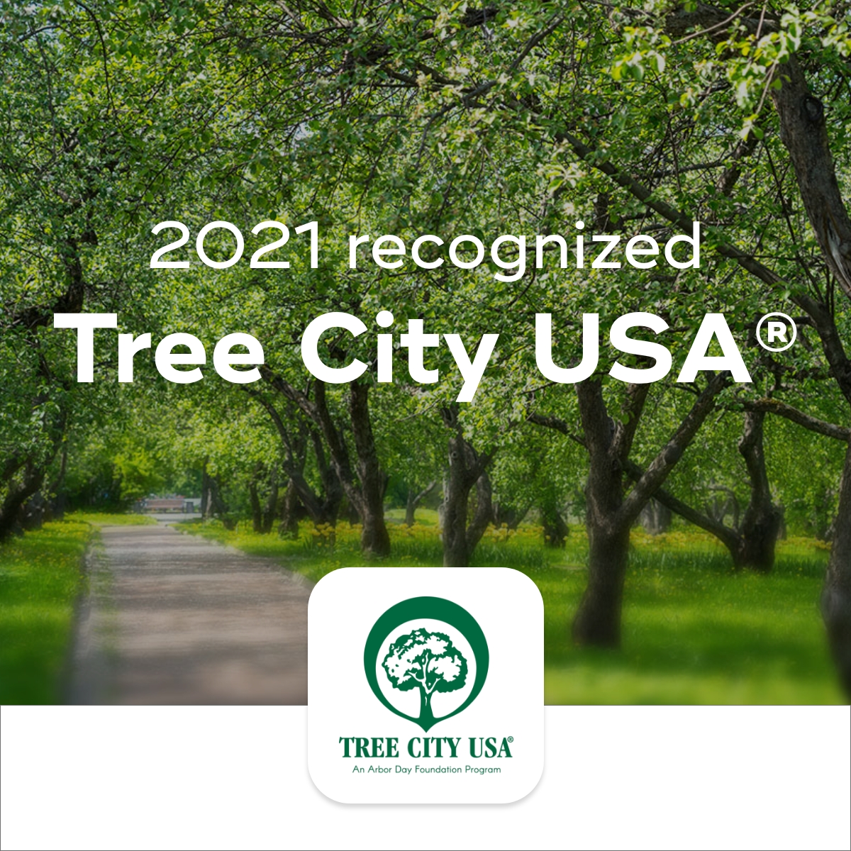 Tree City